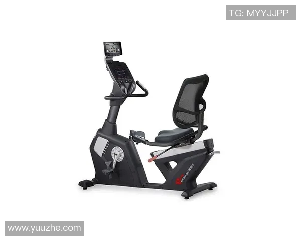 瑞利达健身器材官网：了解瑞利达健身器材的品牌与产品